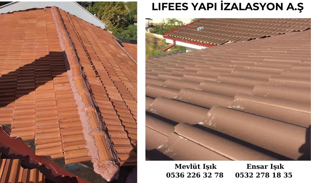 Selçuklu çatı ustası 